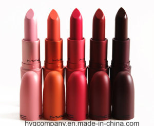 Limited Edition Matte Lipstick Collection 5 Colors Fashion Lipsticks Dark Color Makeup Lip Cream Nat